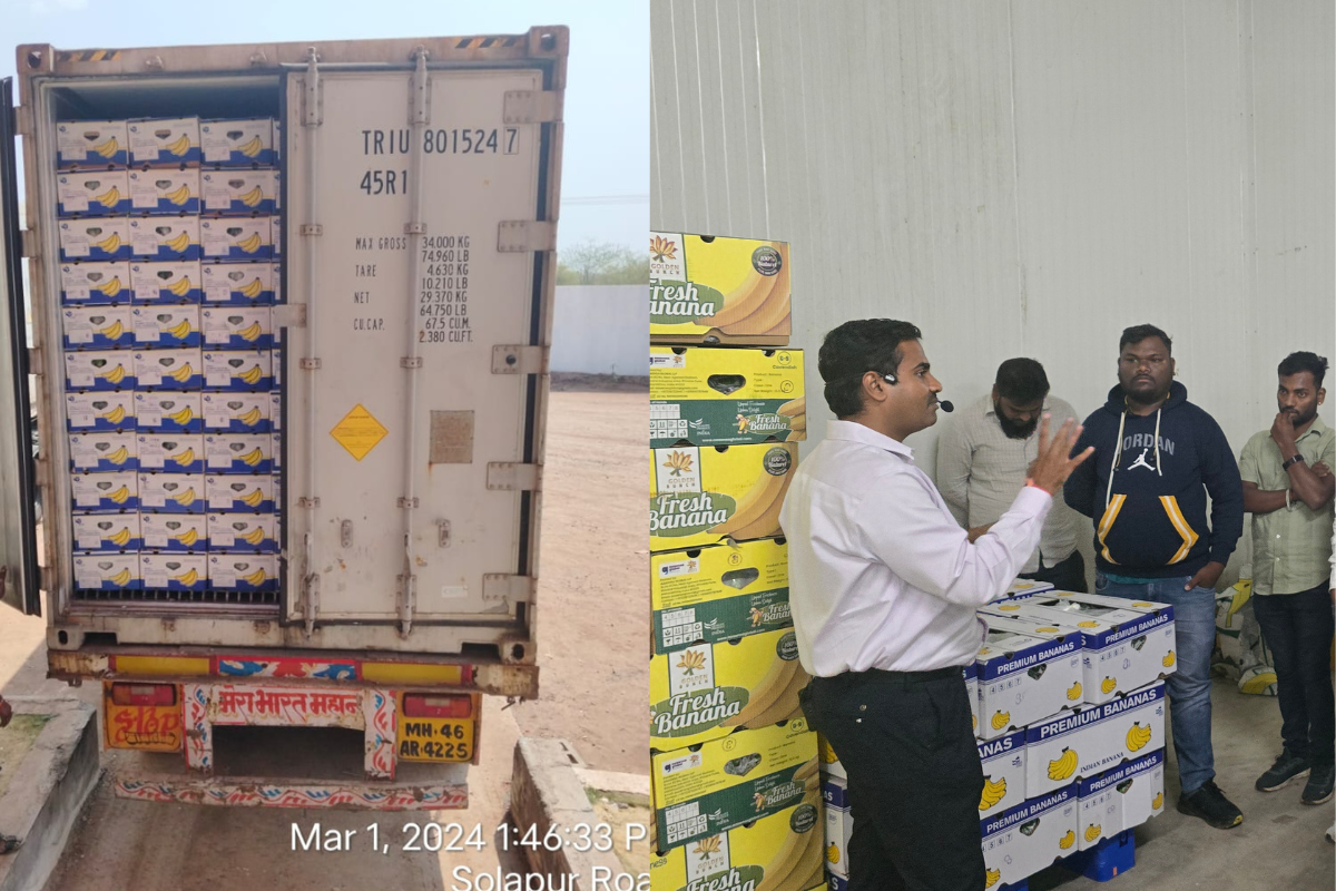 Export Shipment Services Pune