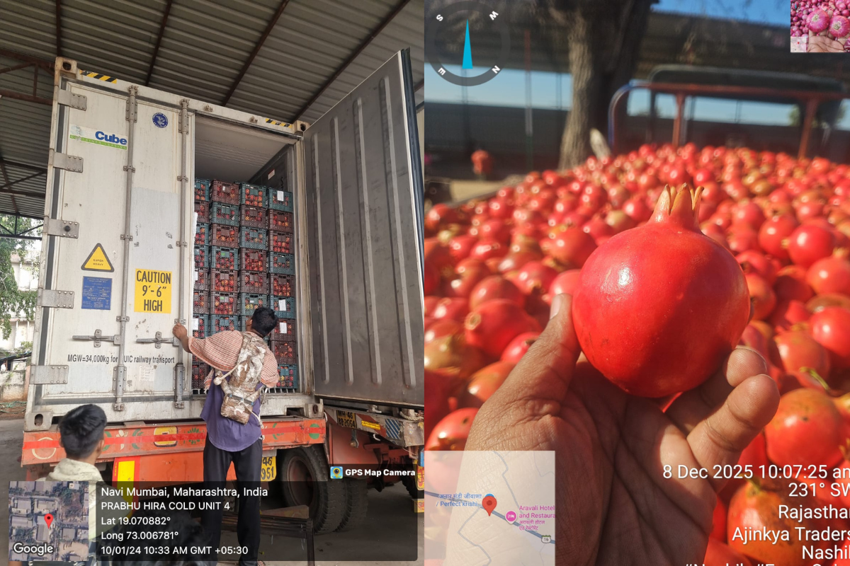 Export Import Shipment Services and Logistics Support