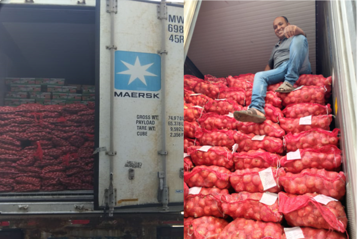 Red Flesh Dragon Fruit