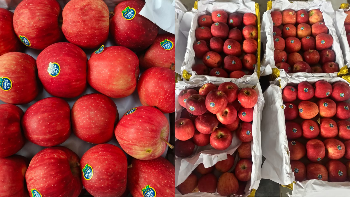 Apples Imported from Iran to India