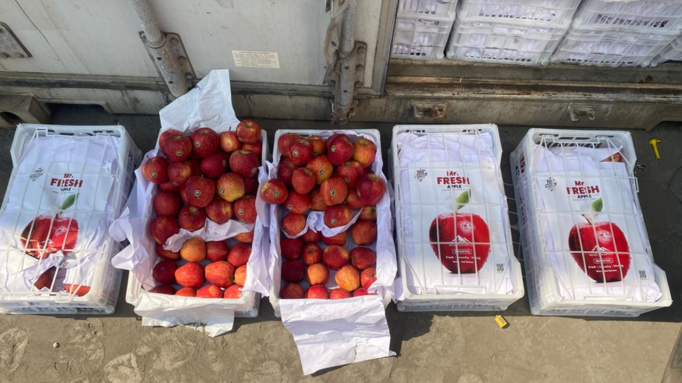 Container Unloading Apples