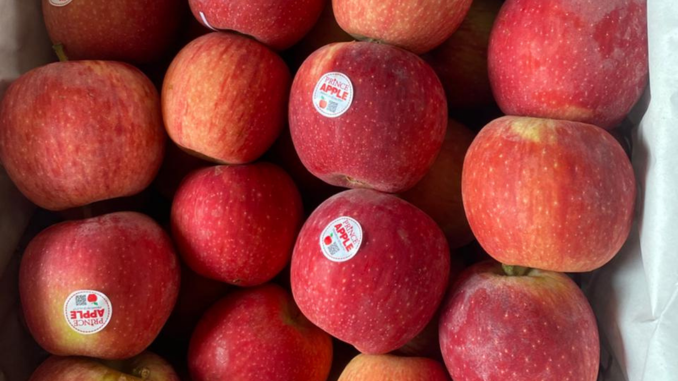 Apple Delivery to Client India