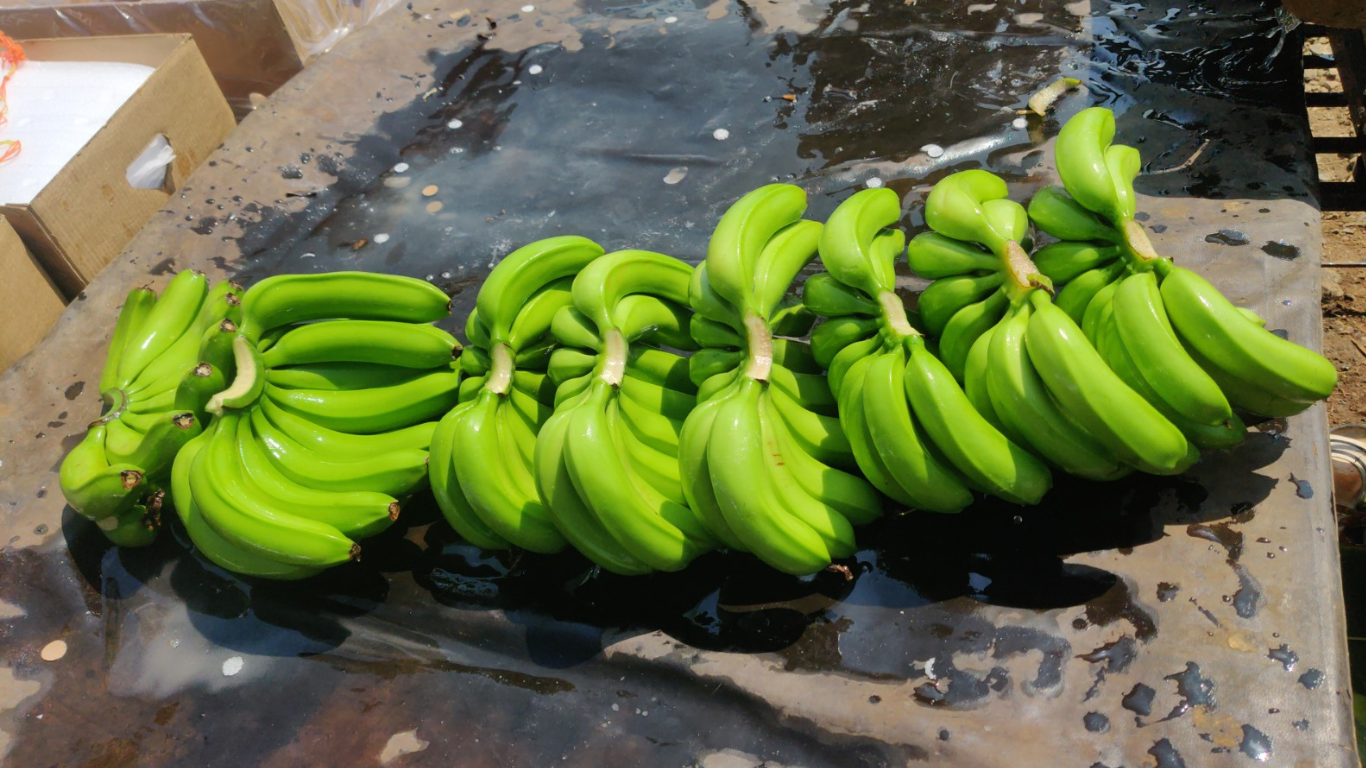 Container Unloading Apples
