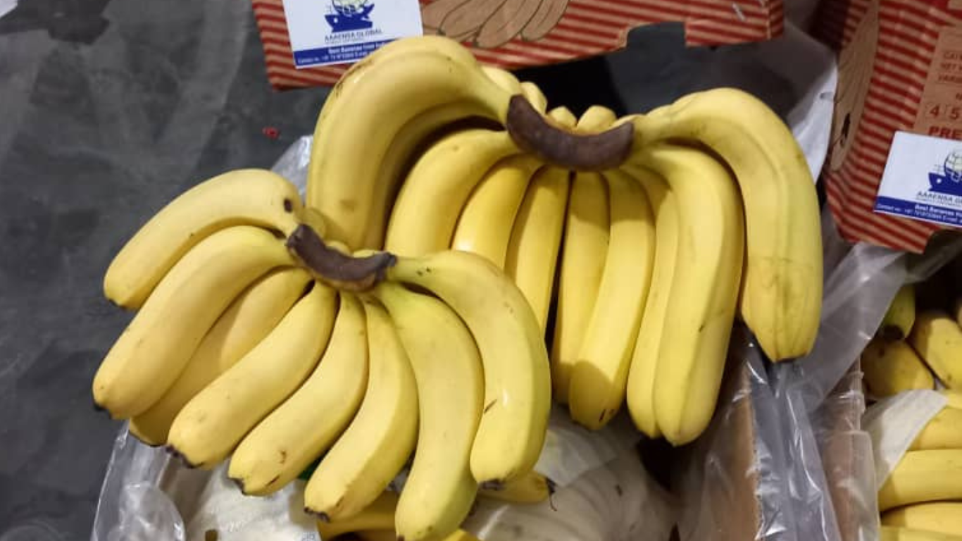 Apple Delivery to Client India