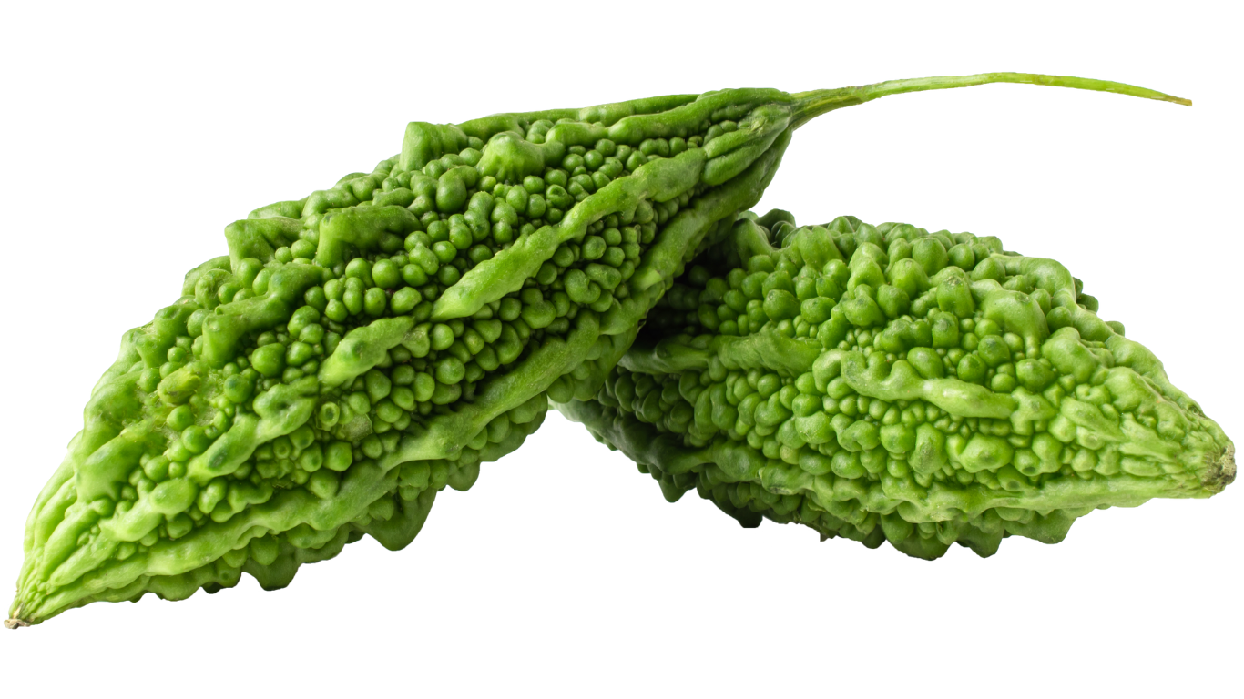 Bitter Gourd Export