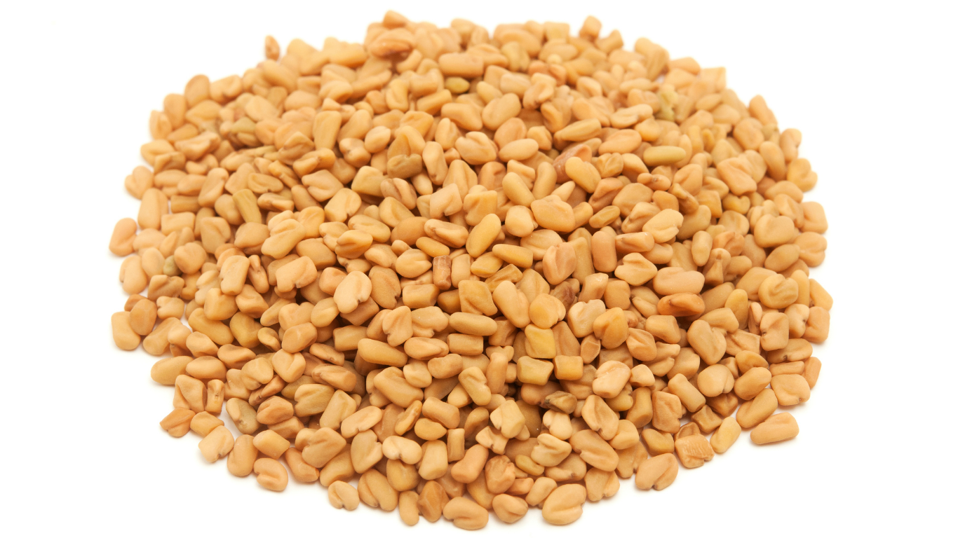 Fenugreek Seeds Export