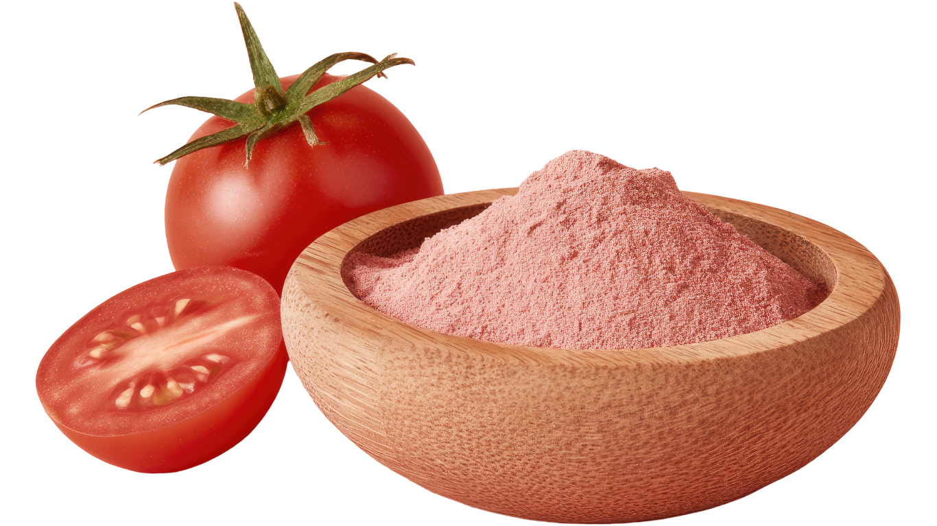 Tomato Powder Exporter India