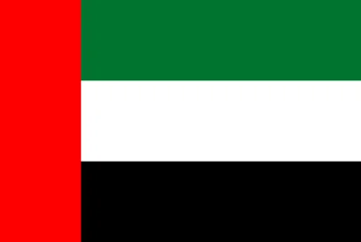 The Gulf Cooperation Council (GCC Countries (UAE, Saudi Arabia, Oman, Qatar, Kuwait, Bahrain)) Flag